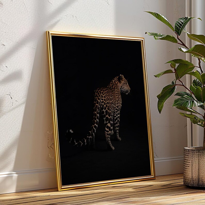 May include: A black and white photograph of a leopard standing in a dark room. The leopard is facing away from the camera and its tail is curled around its body. The photograph is framed in a gold frame.