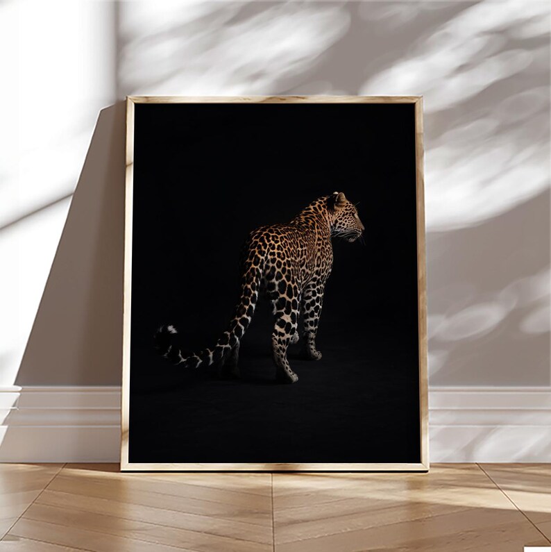 May include: A black and brown leopard stands in a dark room, facing away from the camera. The leopard's spots are visible in the dim light.