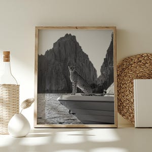 May include: A black and white photograph of a cheetah sitting on the bow of a boat. The cheetah is looking directly at the camera. The boat is in the water, and there are mountains in the background.