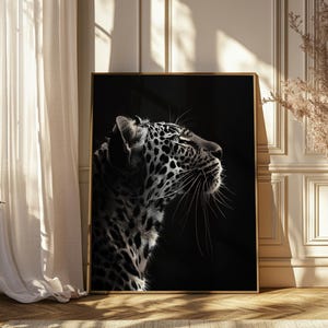 May include: A black and white photograph of a leopard's head and neck against a dark background. The leopard's eyes are closed and its whiskers are visible.