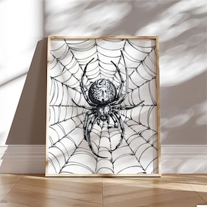 Halloween Vintage Spider Print, Spiderweb Drawing Wall Art, Boho Halloween Decor, Minimalist Spooky Poster, Trendy Fall Halloween Printable