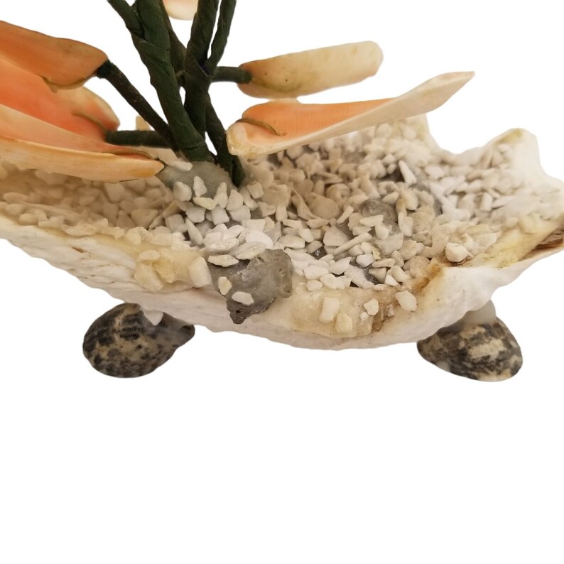 Bonsai Shell Bonsai Tree Shell Art Coffee Table Decor Flower Mid Century Beach House ...
