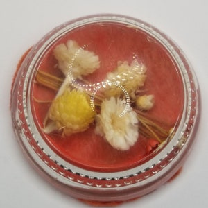 Vintage Glass Paperweight Dried Flowers Dome Bubble Specimen Red Homemade Floral
