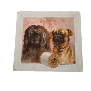 Tarjeta comercial victoriana J & P Coates Hilo Perros Boxer Cachorro Efímero de costura Ilustración de papel Tarjeta publicitaria Recuerdos publicitarios Anuncio antiguo