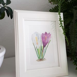Krokussen Frühling Bild Aquarell Illustration Botanik Blume gelb Original Tussilago Floral Lila Wasserfarben