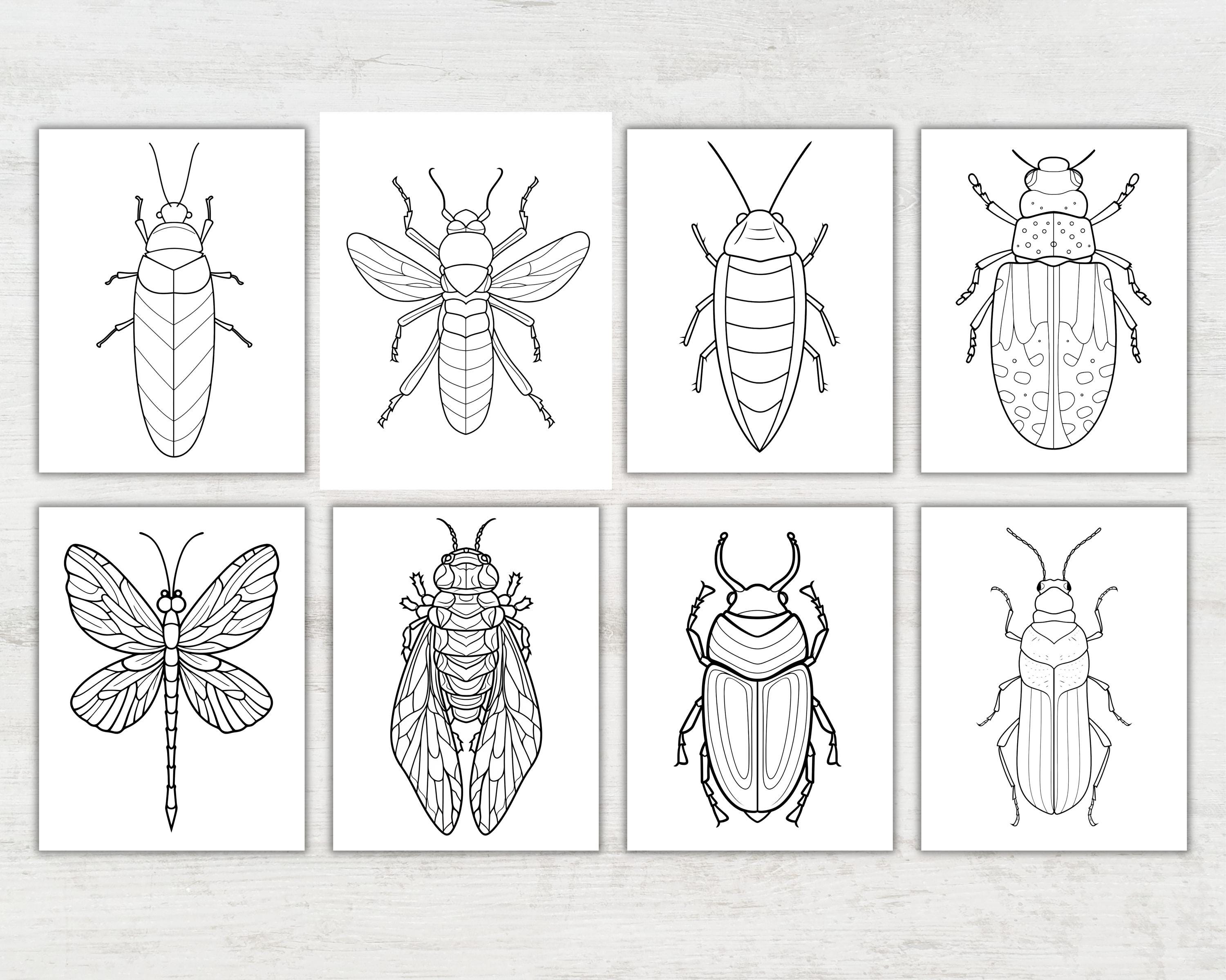 Insects Coloring Book | Butterfly & Bug Designs | 25 Printable Nature