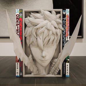 Sung Jin-Woo from Solo Leveling -  Book Nook/Wall Hanging