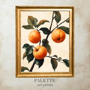 Vintage Botanical Wall Art Digital Painting Print, Orange Fruit Branch Illustration, Rustic Farmhouse Kitchen Decor, Nature Artwork - FRT001