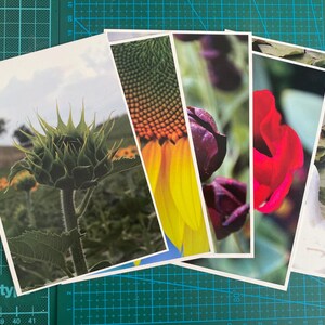 Postais - Plantas v1
