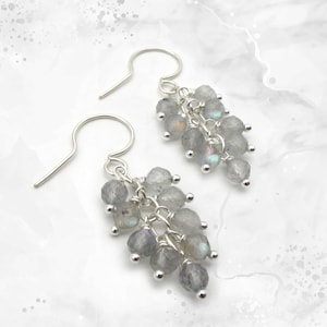 May include: Silver dangle earrings with a cluster of gray labradorite stones.