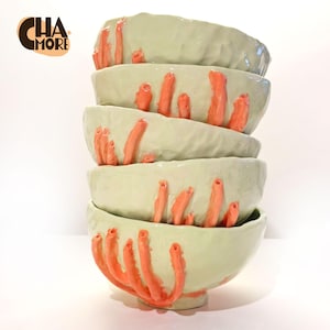 Handmade Green Ceramic Bowl: Red Coral Coastal Pottery, 17oz