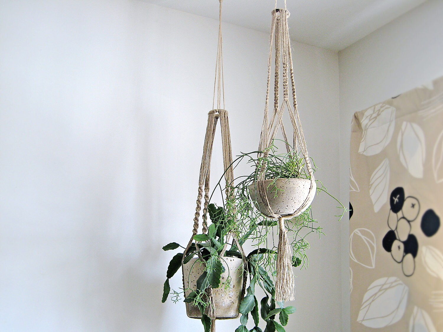 JUTE PLANT HANGER Medium or Large Eco Friendly Indoor