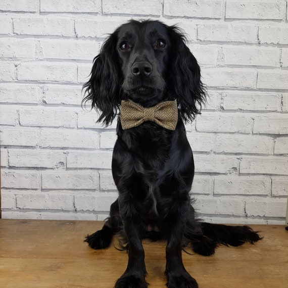 brown eco friendly Dog Bow Tie Tweed Bow Tie for Dogs Yorkshire Herringbone Tweed