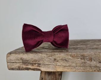 Dog Bow Tie - Plum Velvet