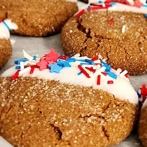 May include: Gingerbread cookies decorated with white icing and red, white and blue sprinkles. The cookies are arranged on a white parchment paper surface.