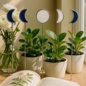 May include: A collection of decorative plant stakes featuring moon phase designs. The stakes have silver stems and glass moon shapes in white and navy blue. The stakes are placed in small potted plants, with a book and vase of flowers in the background.