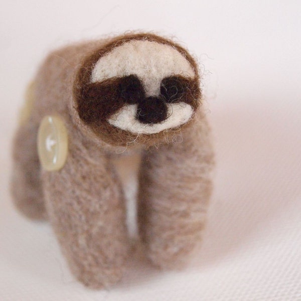 Sahara the Pocket Sloth