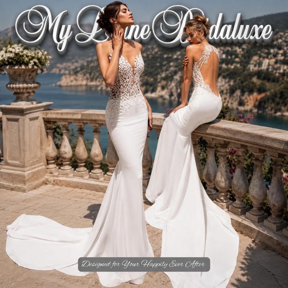 Custom Made Mermaid Wedding Dress, Plunge V Neck Lace Illusion Backless Bridal Gown With Chapel Train