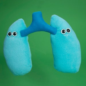 Erin and Airyana Lungs image 3