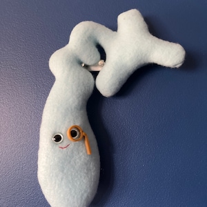 May include: A light blue felt decorative item with a whimsical design, featuring a smiling face with googly eyes and a monocle. The item is mounted on a blue wall, creating a playful and unique aesthetic.