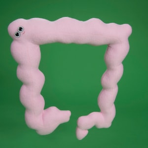 Puede incluir: Un peluche rosa con forma de colon, con una cara sonriente y ojos saltones sobre un fondo verde. El juguete de peluche suave está diseñado para parecerse al órgano humano, con una forma tubular curva.