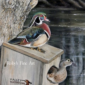 Wood Duck Art Print &quot;Frank&#39;s Pair&quot; 5 x 7 inch Giclee by Roby Baer PSA