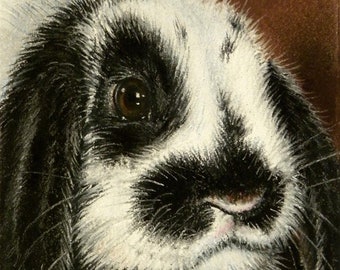 Rabbit Art Print Lop Eared Bunny "Cute Factor" 8 x 10 inch Giclee by Artist Roby Baer PSA