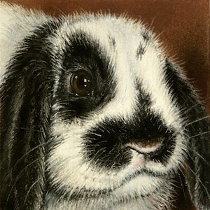 Puede incluir: Un retrato de cerca de un conejo blanco y negro con ojos marrones. El conejo está mirando directamente al espectador. La pintura está firmada "R. Barr PSA '98" en la esquina inferior derecha e incluye el texto "Roby's Fine Art".