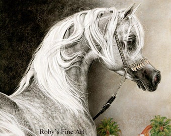 Arabian Horse Art Print "Arabian Stallion" 8 x 10 inch Giclee by Artist Roby Baer PSA