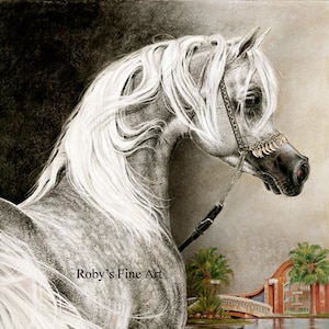 Arabian Horse Art Print &quot;Arabian Stallion&quot; 8 x 10 inch Giclee by Artist Roby Baer PSA