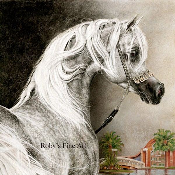 Arabian Horse Art Print "Arabian Stallion" 8 x 10 inch Giclee by Artist Roby Baer PSA