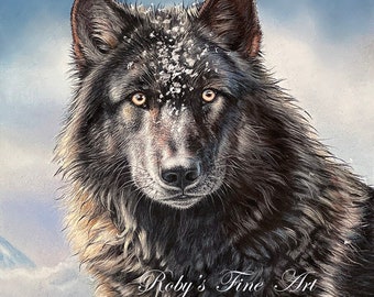 Timber Wolf Art Print "Cold Stare" 5 x 7 inch Giclee by Wildlife Artist Roby Baer PSA