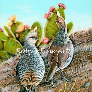 Scaled Quail Art Print &quot;Cottontops&quot; 8 x 10 inch Giclee by Wildlife Artist Roby Baer PSA