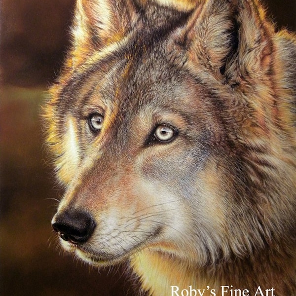 Impresión artística de lobo gris "Explorador vespertino" 5 x 7 pulgadas Giclée del artista de vida silvestre Roby Baer PSA