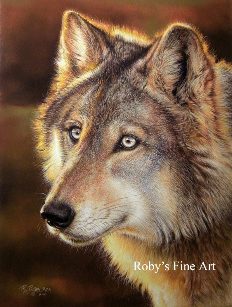 May include: A close-up portrait of a wolf with a soft, golden-brown fur. The wolf's eyes are a piercing blue, and its expression is alert and watchful. The background is a warm, earthy brown.