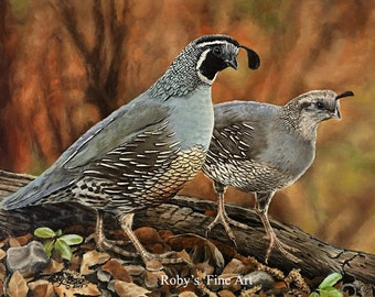 Valley Quail Art Print "Cottage Quail" 5 x 7 inch Giclee by Wildlife Artist Roby Baer 2016/2017 California Upland Game Stamp