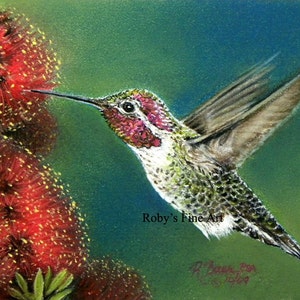 May include: A painting of a hummingbird in flight, with a long beak, green and white feathers, and a pink head. The hummingbird is hovering near a red flower with yellow pollen.