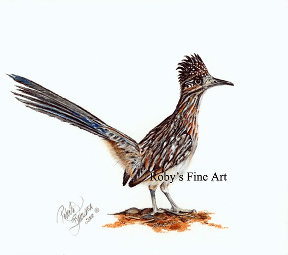 Roadrunner Art Print road Runner 5 X 7 Inch Giclee by Roby Baer PSA -   Canada