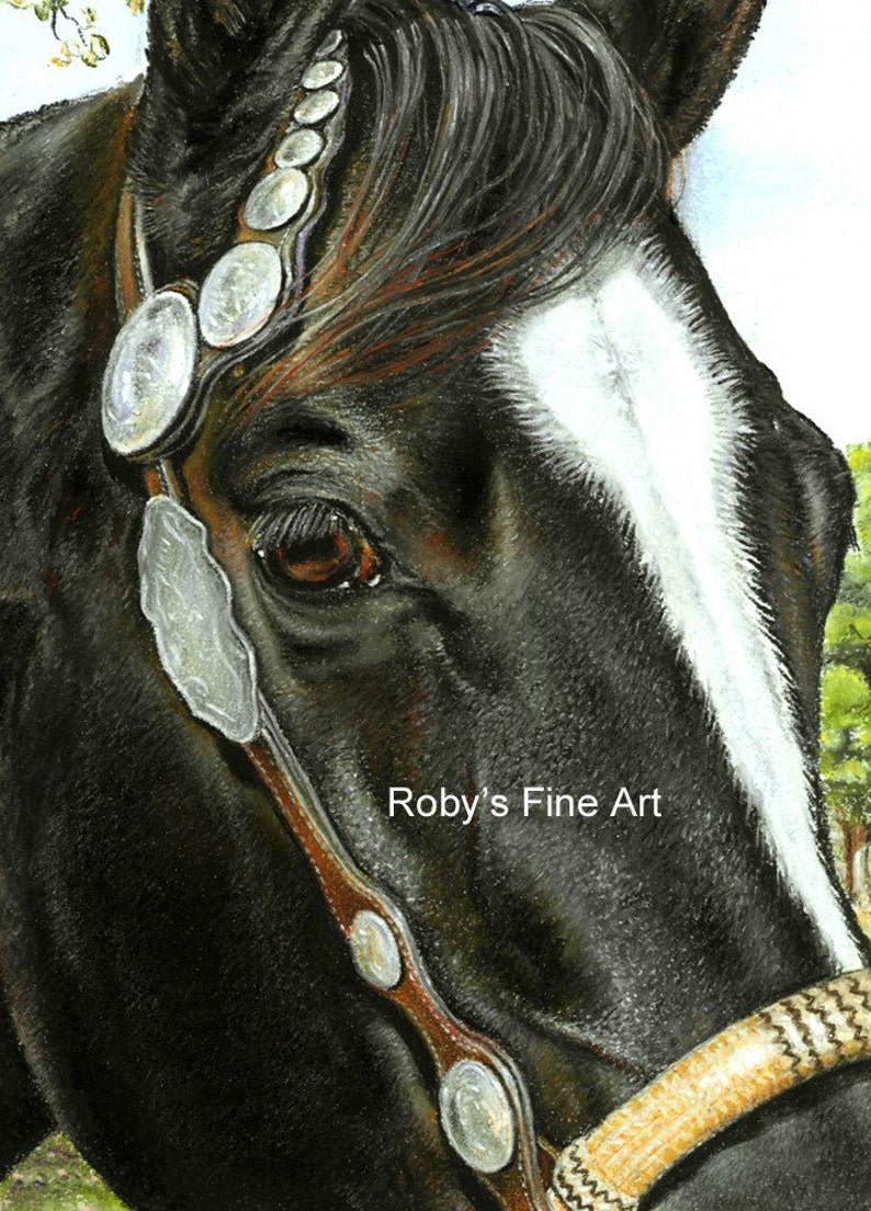 Black Quarter Horse Art Print 5 X 7 Inch Giclee by Artist Roby Etsy UK