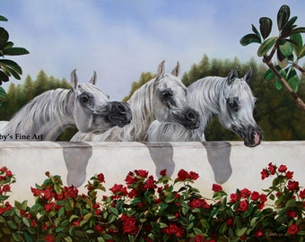 Limited Edition 3 Arabian Mares Art Print "The Line Up" By Artist Roby Baer