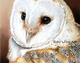 Barn Owl Art Print 8 x 10 inch Giclee by Roby Baer PSA