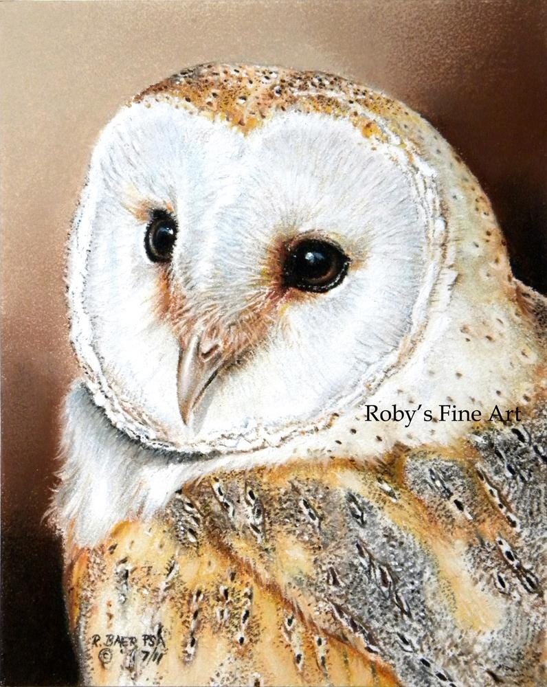 Barn Owl Art Print 8 x 10 inch Giclee by Roby Baer PSA