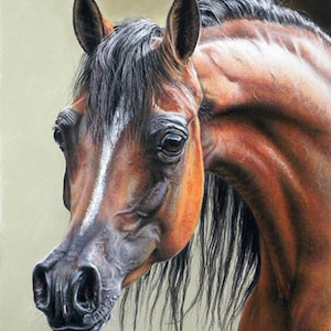Limited Edition Arabian Horse Art Print &quot;Arabian Mare&quot; By Artist Roby Baer PSA