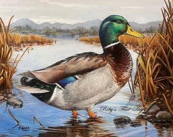 Duck Art Print "Mallard" 8 x 10 inch Giclee by Wildlife Artist Roby Baer