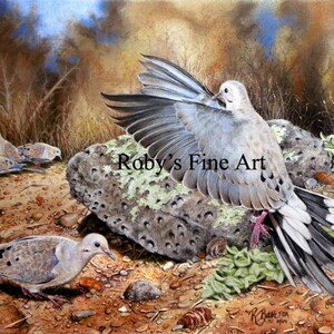Dove Print Mourning Doves "Flight 682" 5 x 7 inch Giclee by Roby Baer PSA