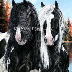 Puede incluir: Dos caballos blanco y negro con largas y fluidas crines. El caballo de la izquierda tiene una crin negra y el caballo de la derecha tiene una crin blanca. Ambos caballos miran a la cámara.