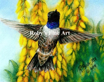 ハチドリの絵画、水彩画、ハチドリのアート、ハチドリのプリント、鳥