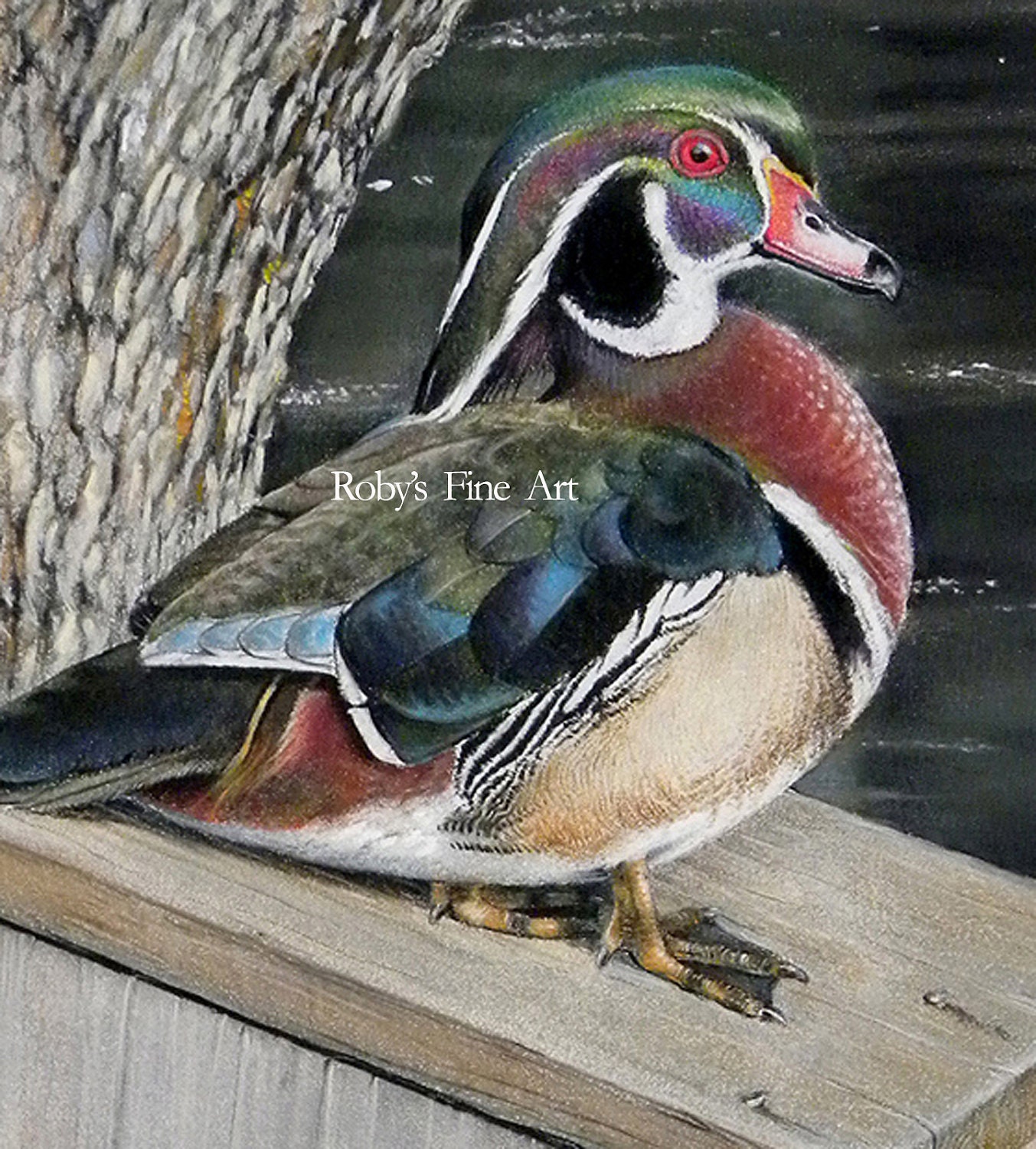 Wood Duck Art Print frank's Pair 5 X 7 Inch Giclee by Roby Baer PSA Etsy