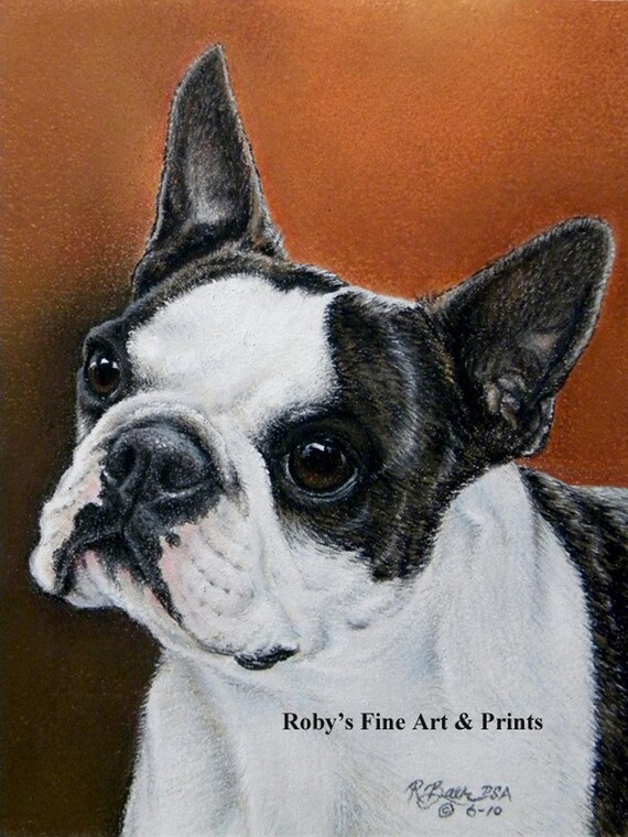 Boston Terrier Dog Art Print 