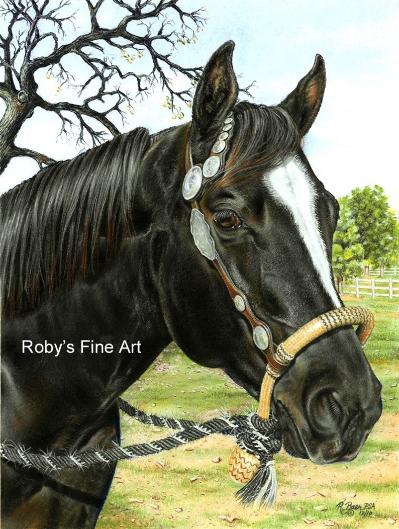 Black Quarter Horse Art Print 5 X 7 Inch Giclee by Artist Roby Etsy
